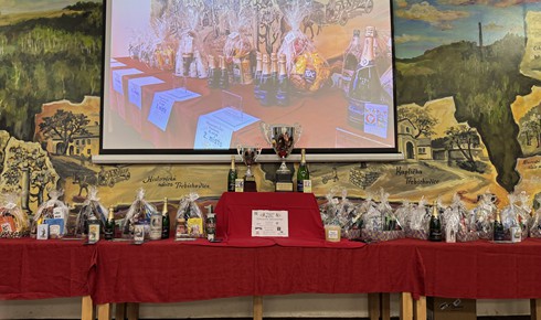  T�ebichovice - Novoro�n� turnaj dru�stev v L��E 2026
 